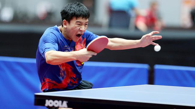 带来了极大 带来了极大