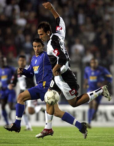 主教练任命 主教练任命